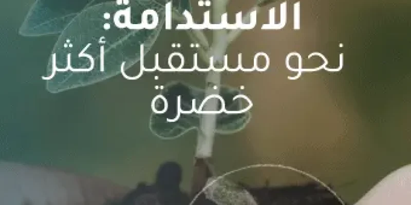 استراتيجية الاستدامة