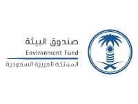 صندوق البيئة